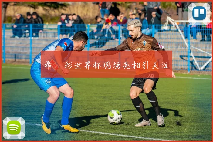 希咲彩世界杯现场亮相引关注