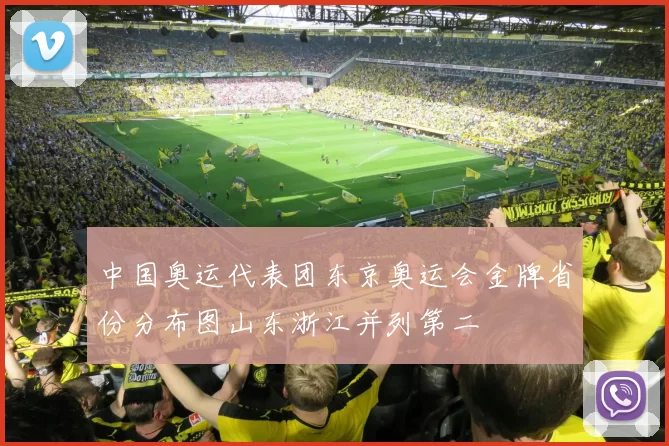 中国奥运代表团东京奥运会金牌省份分布图山东浙江并列第二