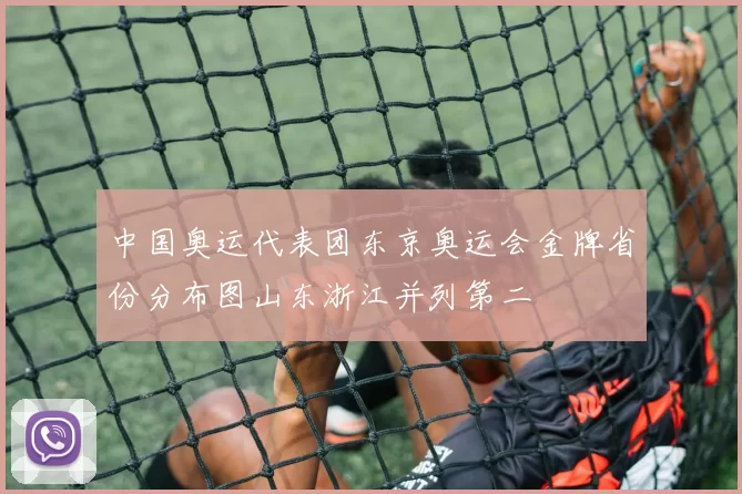 中国奥运代表团东京奥运会金牌省份分布图山东浙江并列第二