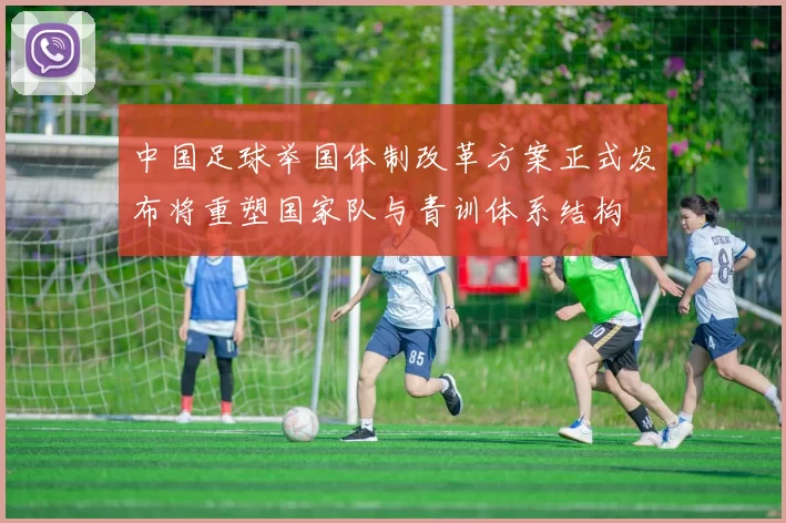 中国足球举国体制改革方案正式发布将重塑国家队与青训体系结构