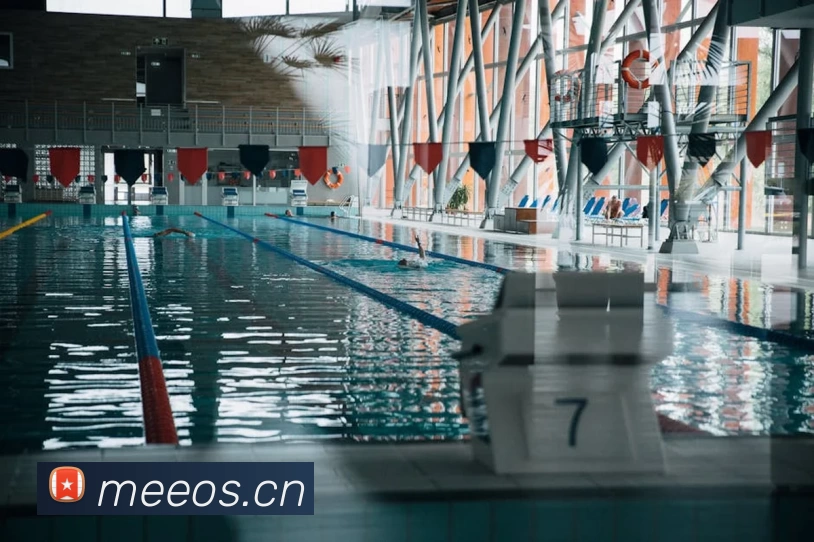 App Interface Preview