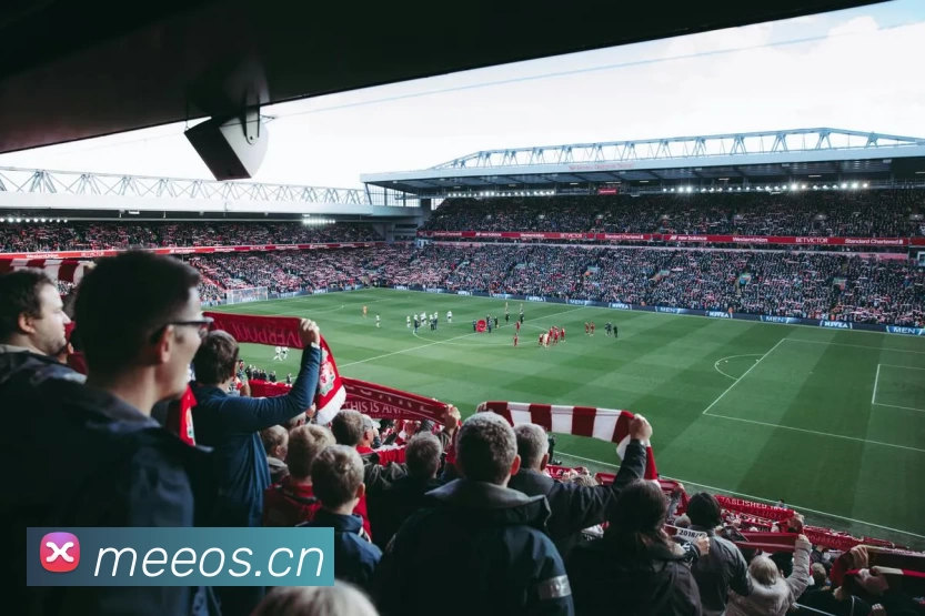 BOB半岛·(中国)体育官方网站 - BOB SPORTSAPP 封面图